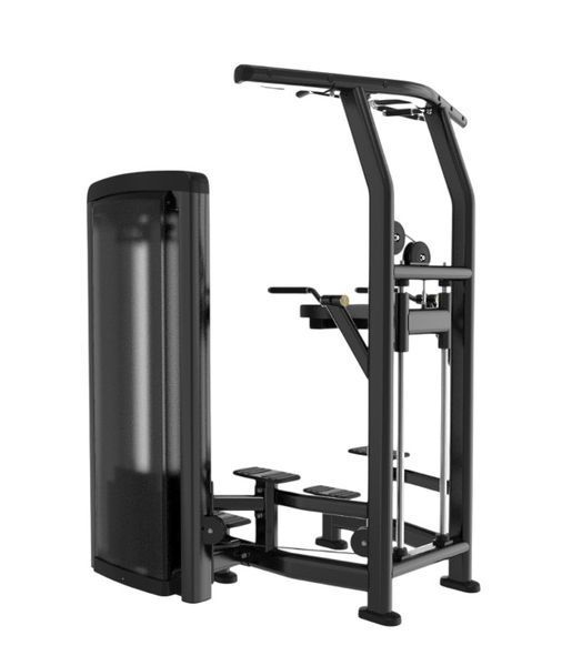 Гравітрон для підтягувань та віджимань Generation Fitness Dip / Chin Assit GFH10 GFH10 фото