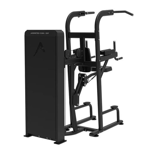 Комбінований станок Apus Sports Assisted Сhin/Dip SA008 SA008 фото