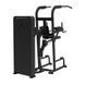 Комбінований станок Apus Sports Assisted Сhin/Dip SA008 SA008 фото 2