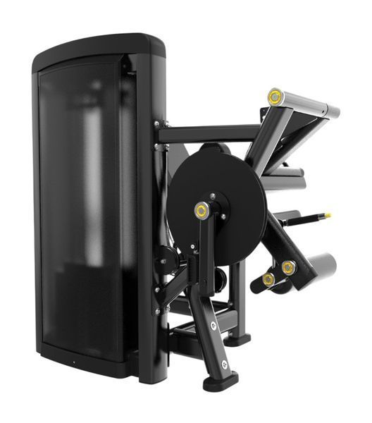 Згинання/розгинання ніг Generation Fitness Leg Curl / Extension GFH33 GFH33 фото