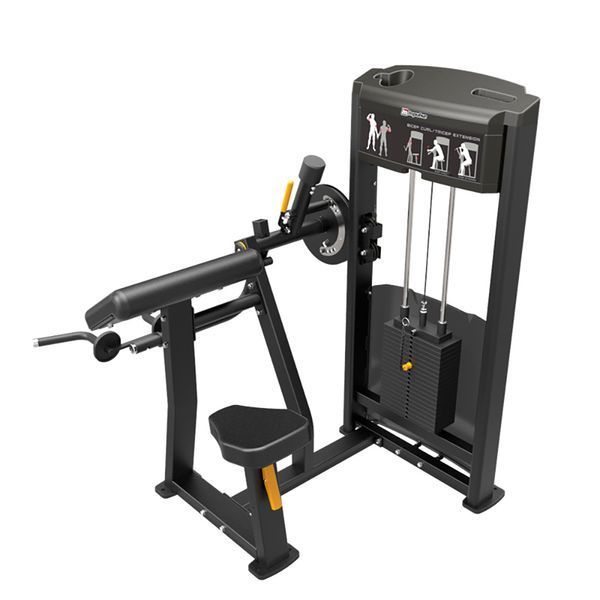 Біцепс/тріцепс машина Impulse Classic Bicep Curl IF9333 фото