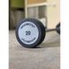 Набір прямих фіксованих штанг крок 5 вага 175 кг Technogym TGP-10-40 кг TGP-10-40 фото 4
