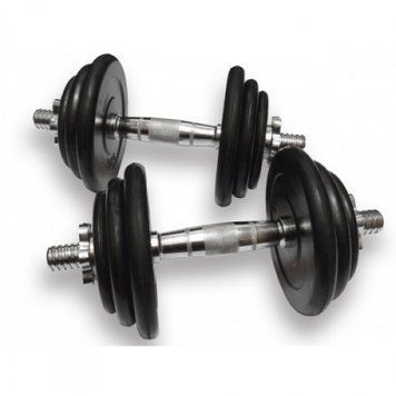 Гантели наборные Generation Fitness DB-02-21 кг (ручка - хром) пара DB-02-21 фото