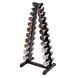 Гантельный ряд Generation Fitness D-04 1-10 кг хром со стойкой Fitnessport DR-18 D-04+DR-17 фото 2