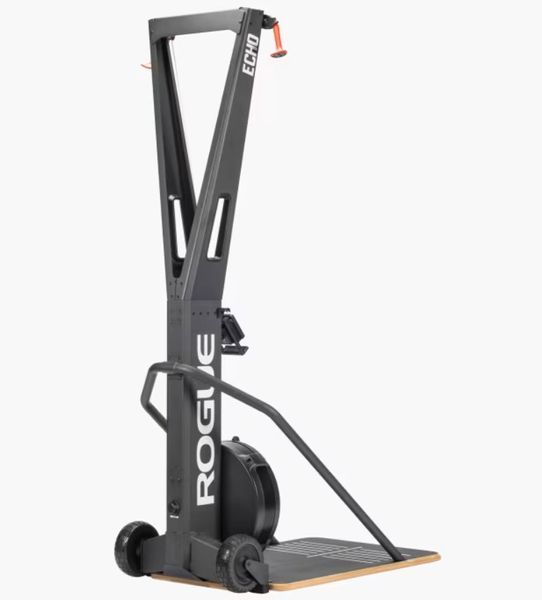 Лыжний тренажер Rogue Echo Ski Echo Ski фото