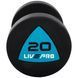 Гантелі з поліуретановим покриттям 20 кг LiveUp 2 шт LP8002-20 фото 2