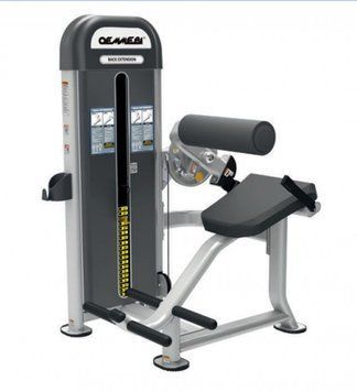 Розгинання спини Oemmebi Fitness Back Extension IRFB02 IRFB02 фото