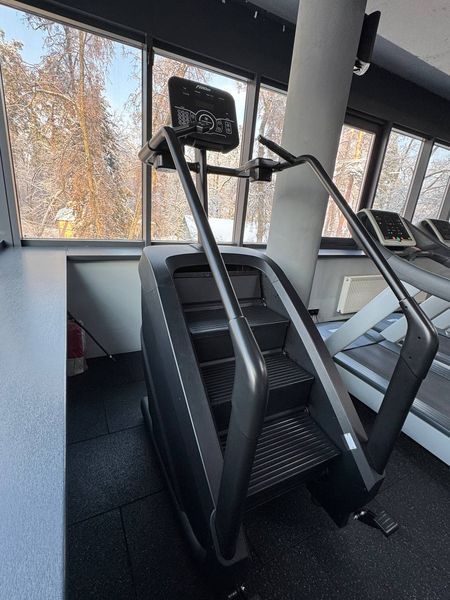Лестница-степпер (климбер) StairMaster EB8900 EB8900 фото