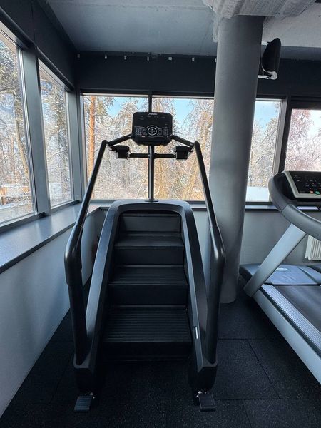 Лестница-степпер (климбер) StairMaster EB8900 EB8900 фото