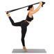 Лента-эспандер 15-20 кг 200х15х0.7 см XL black Generation Fitness XL black фото 7