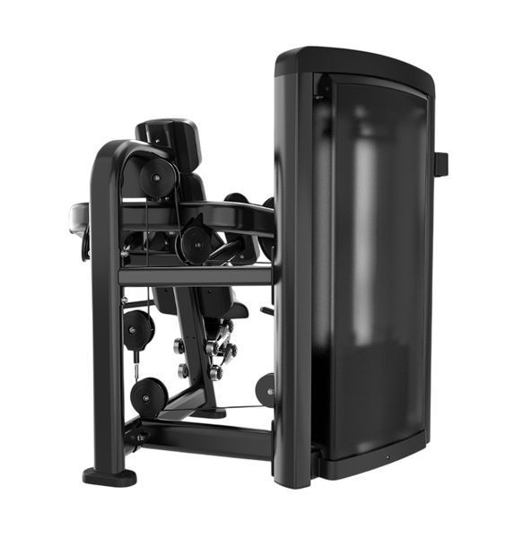 Сгибание бицепса Generation Fitness Biceps Curl GFH05 GFH05 фото