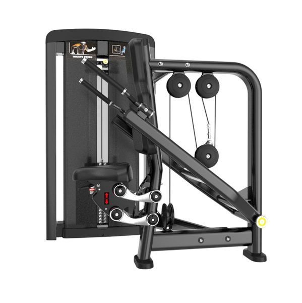 Сгибание трицепсов и грудной мышцы Iron Impulse Generation Fitness Seated Dip GFH06 GFH06 фото