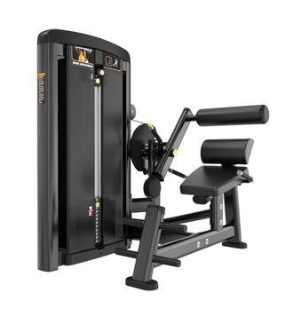 Тренажер разгибатель спины Generation Fitness Back Extension GFH18 GFH18 фото